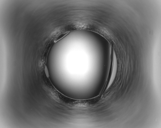 X0000086900601200704301018