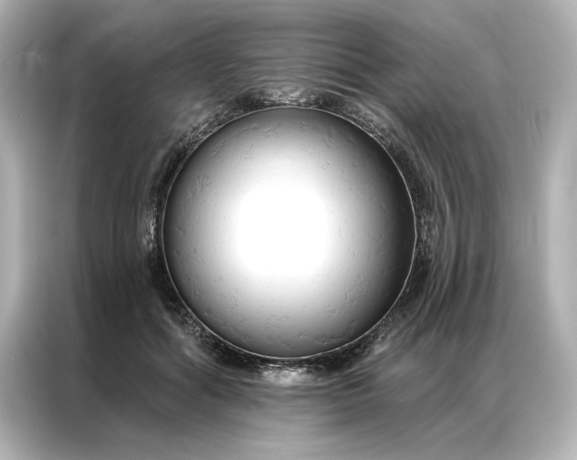 X0000086900602200704301018