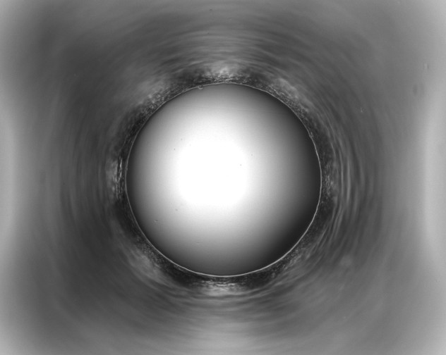 X0000086900605200704301018