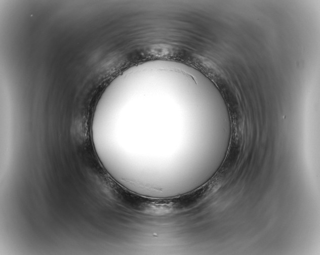 X0000086900606200704301018