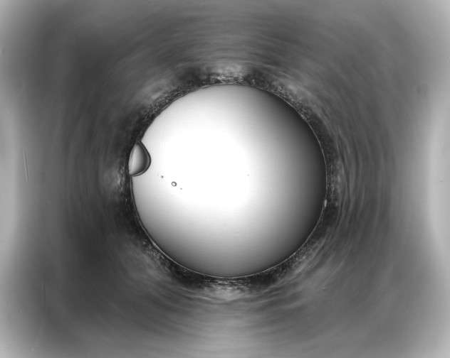 X0000086900608200704301018