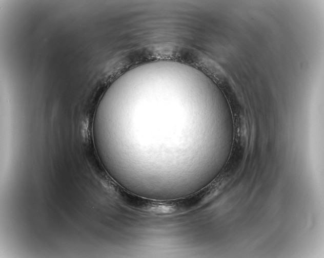 X0000086900610200704301018