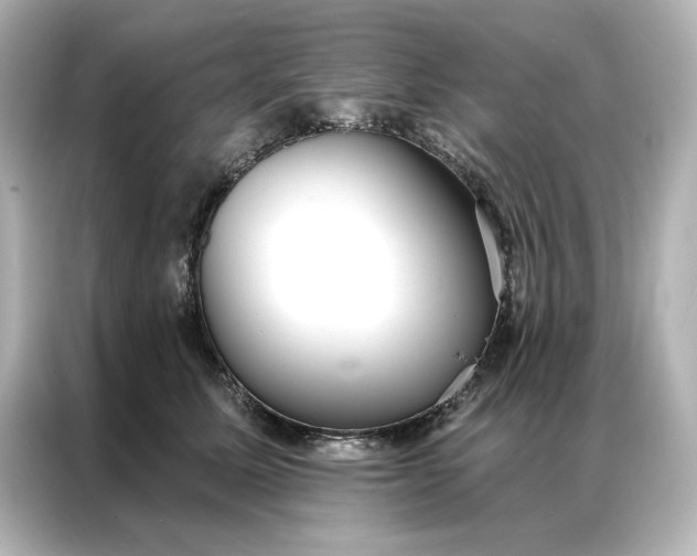 X0000086900611200704301018