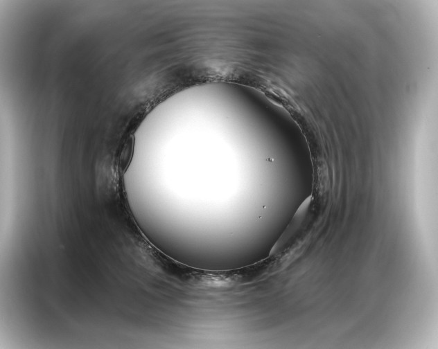 X0000086900613200704301018