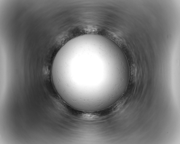 X0000086900614200704301018