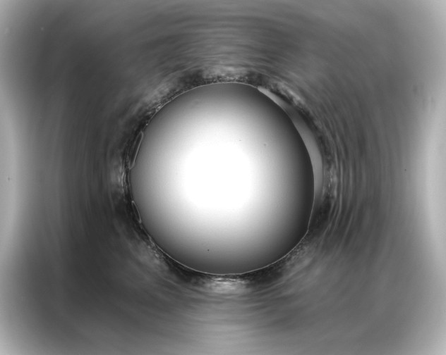 X0000086900617200704301018