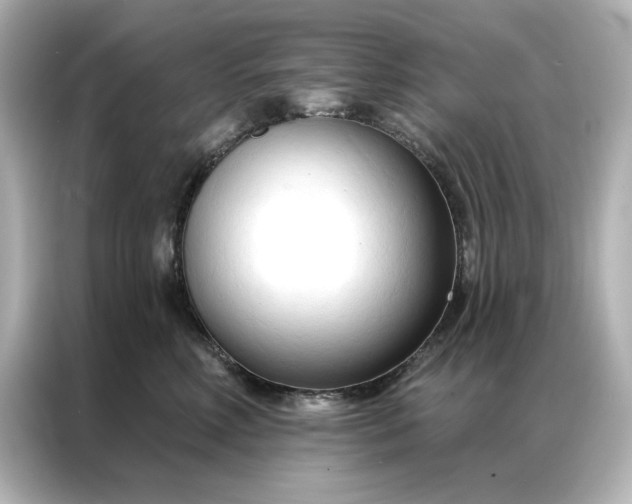 X0000086900618200704301018