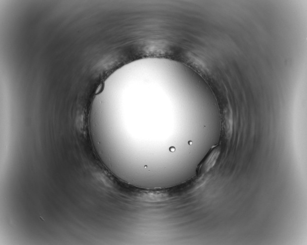 X0000086900619200704301018