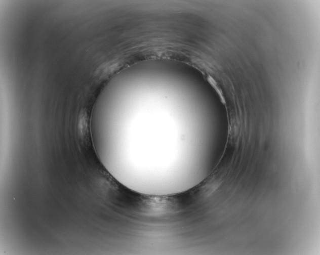 X0000086900623200704301018