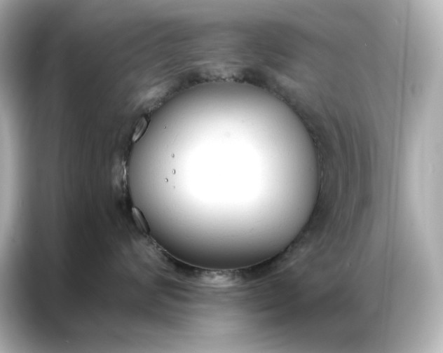 X0000086900624200704301018