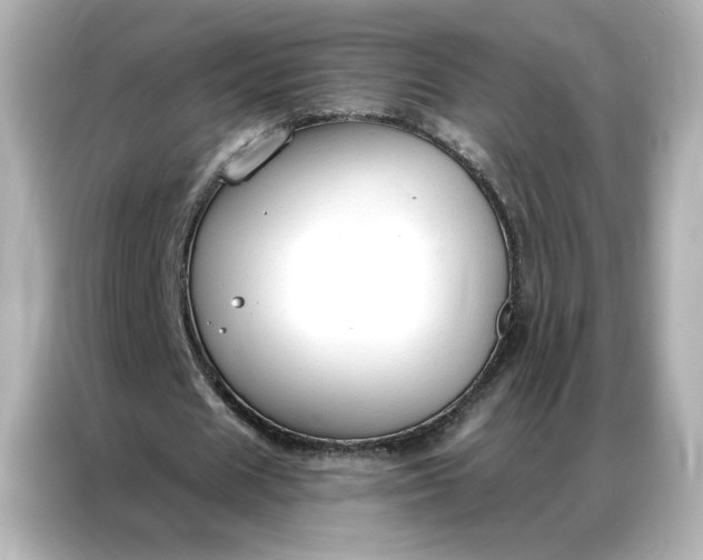 X0000086900625200704301017