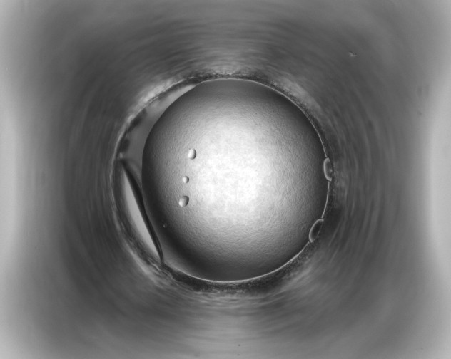 X0000086900626200704301017