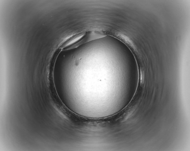 X0000086900627200704301017