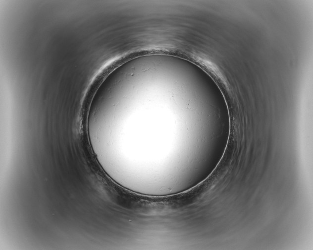 X0000086900628200704301017