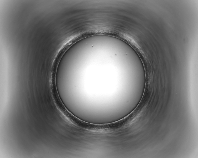 X0000086900629200704301017