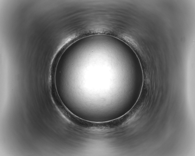 X0000086900630200704301018