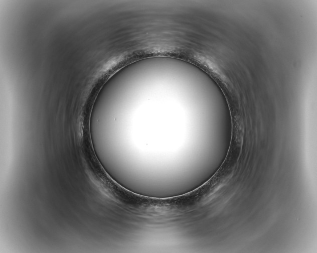 X0000086900631200704301018