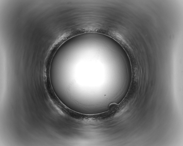 X0000086900634200704301018