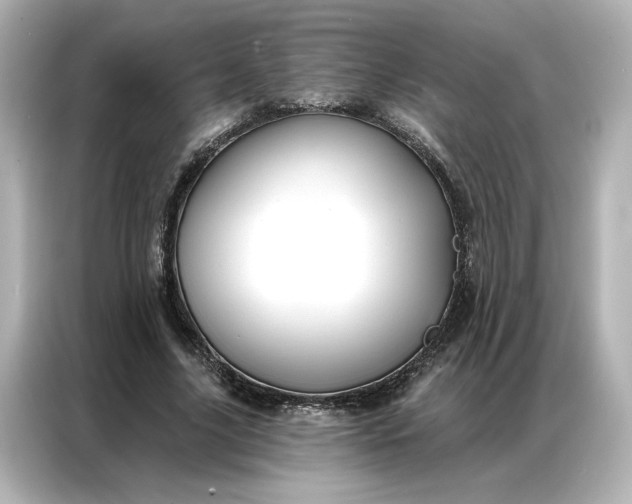 X0000086900635200704301018