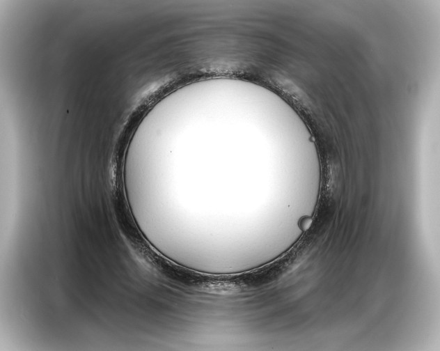 X0000086900636200704301018