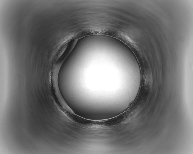 X0000086900637200704301018