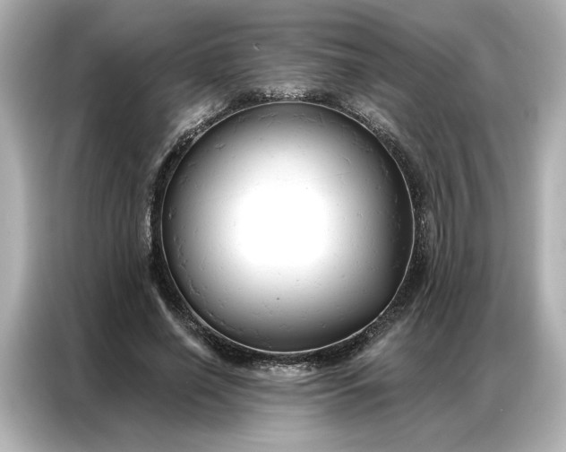 X0000086900638200704301018