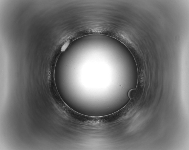 X0000086900639200704301018