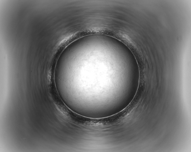 X0000086900640200704301018