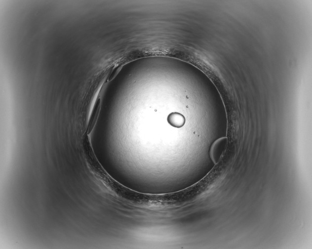 X0000086900641200704301018