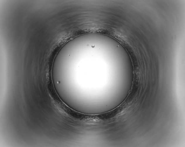 X0000086900642200704301018