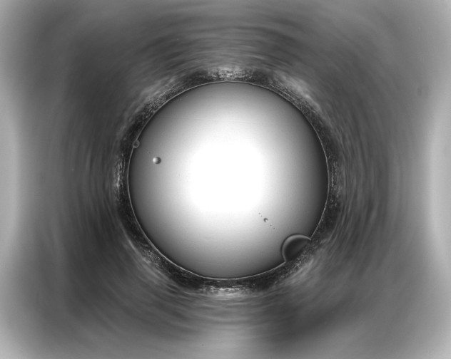 X0000086900645200704301018