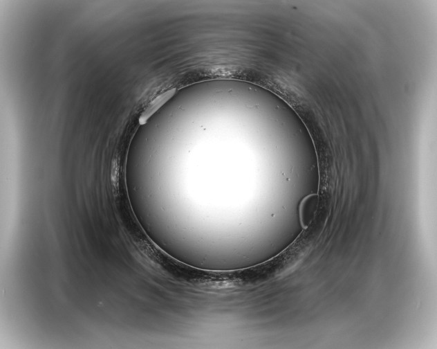 X0000086900646200704301018