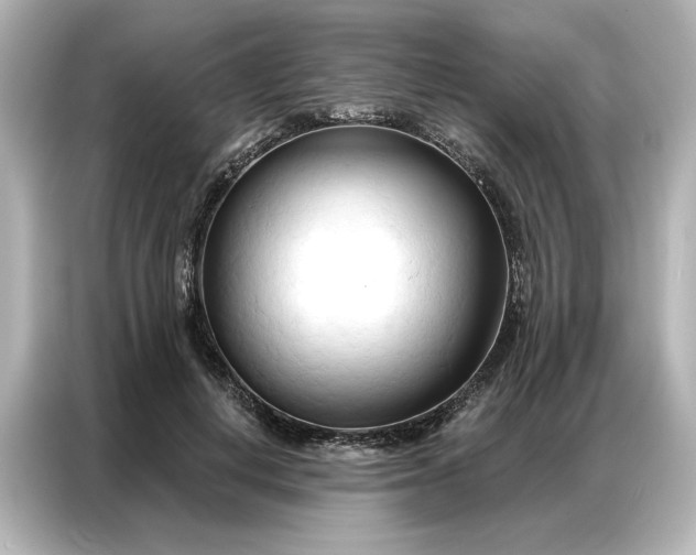 X0000086900648200704301018