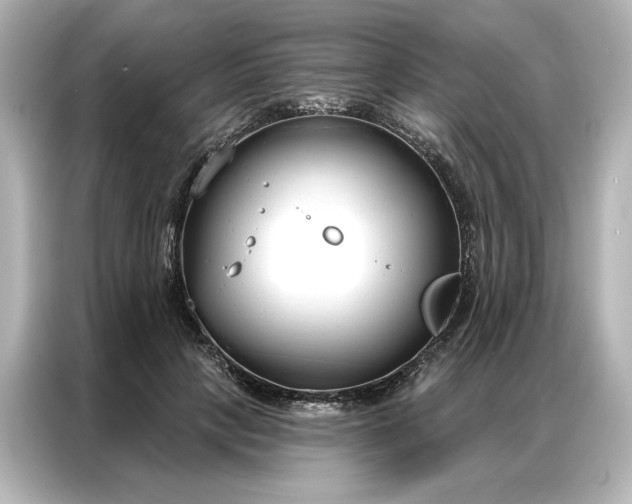 X0000086900649200704301018