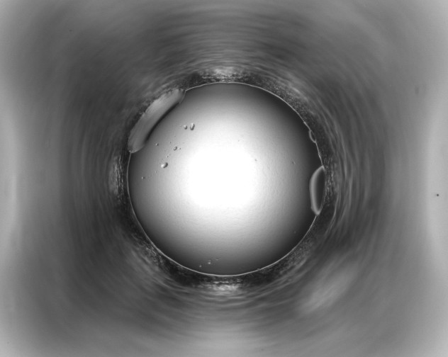 X0000086900651200704301018