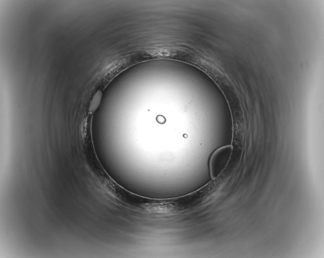 X0000086900652200704301018