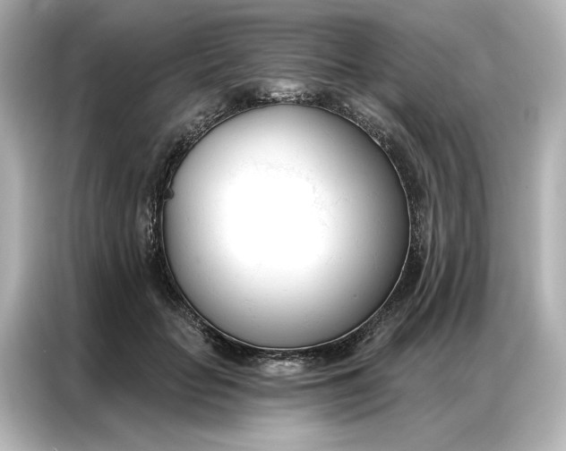 X0000086900653200704301018