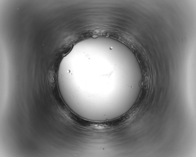 X0000086900654200704301018