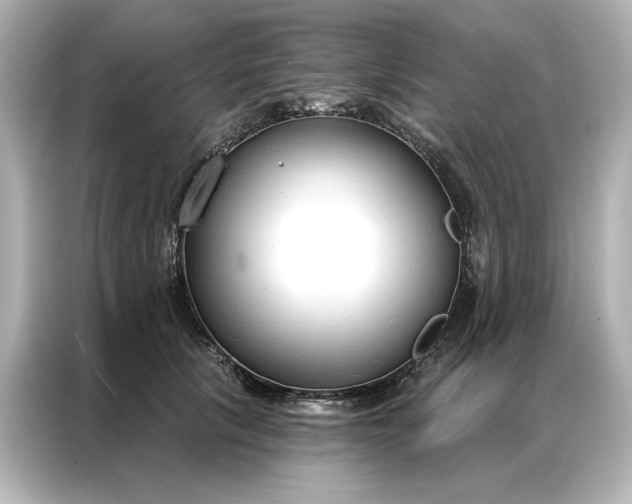 X0000086900657200704301018