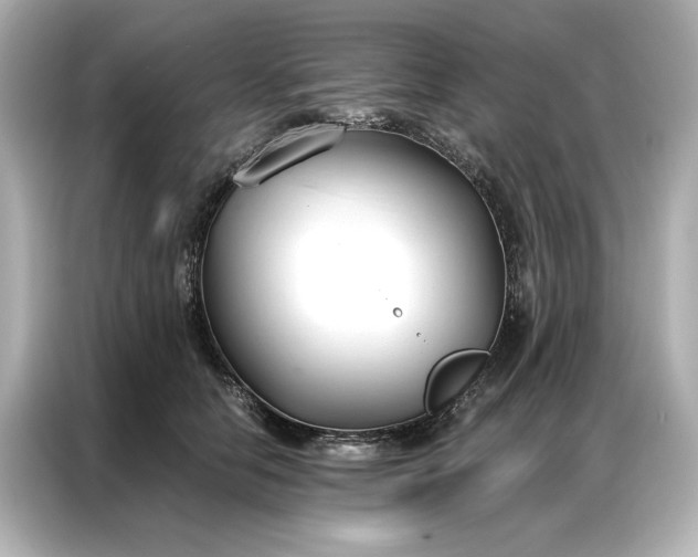 X0000086900658200704301018