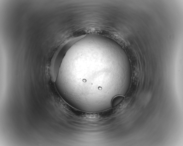 X0000086900659200704301018