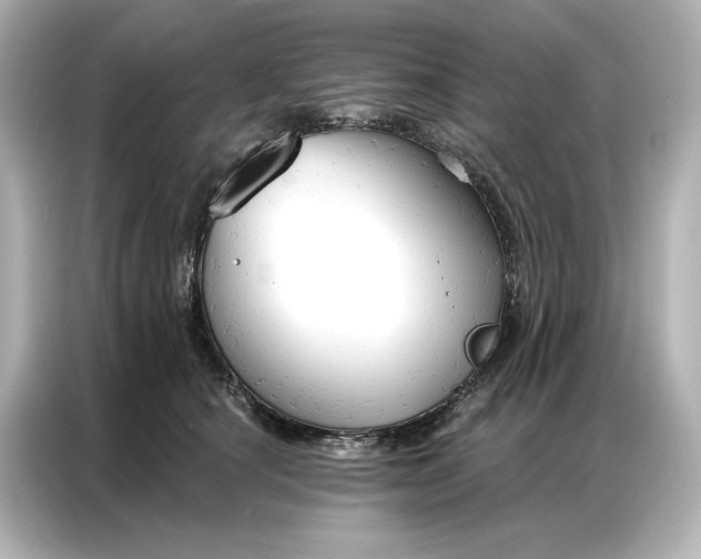 X0000086900660200704301018