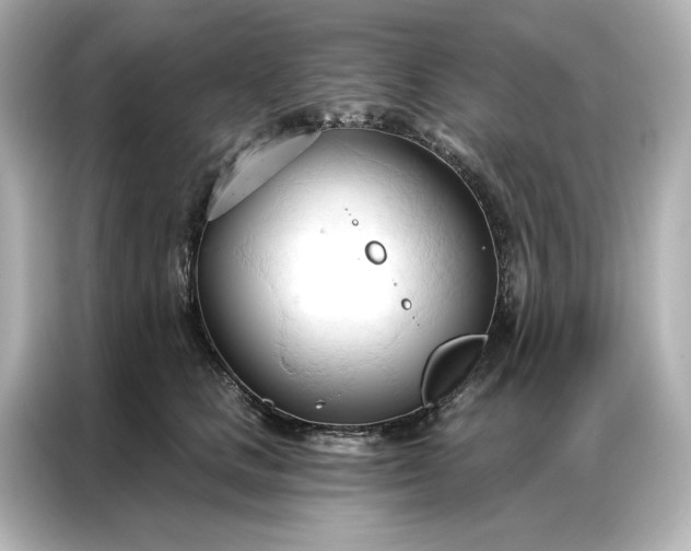 X0000086900661200704301018