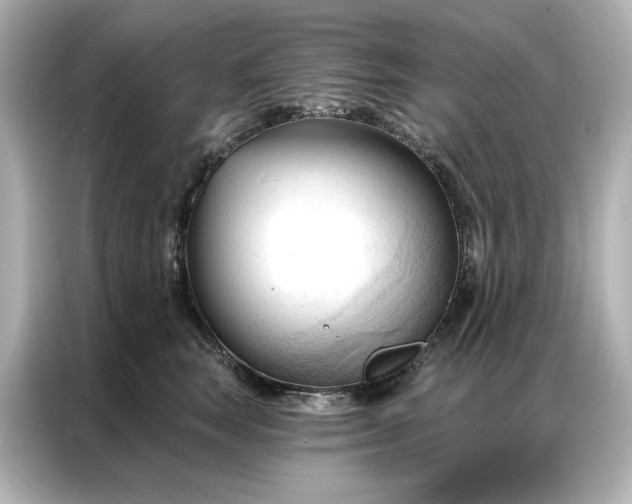 X0000086900663200704301018