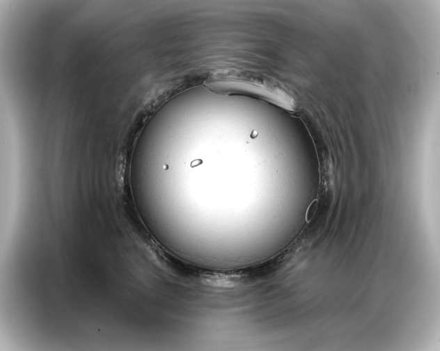 X0000086900664200704301018