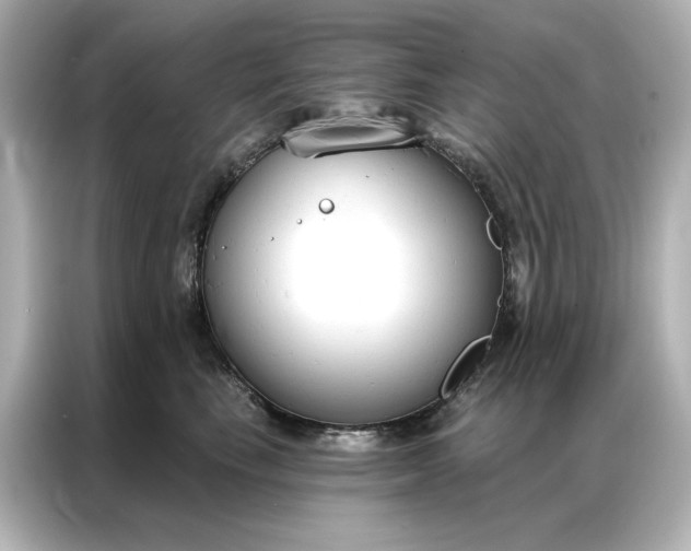 X0000086900665200704301018