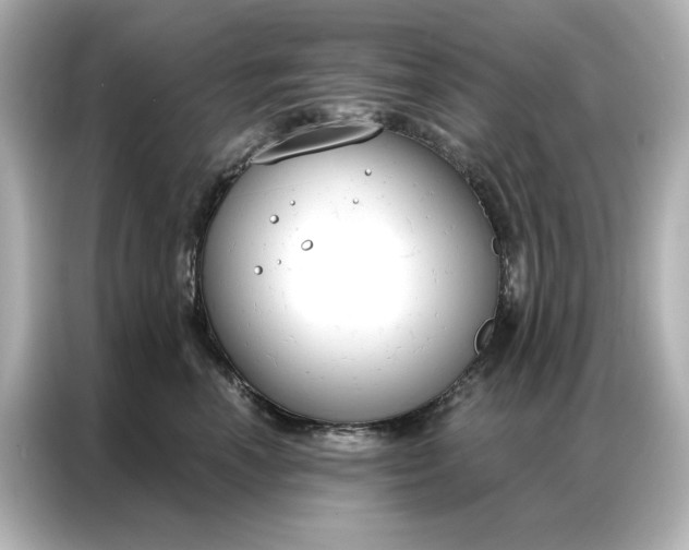 X0000086900666200704301018