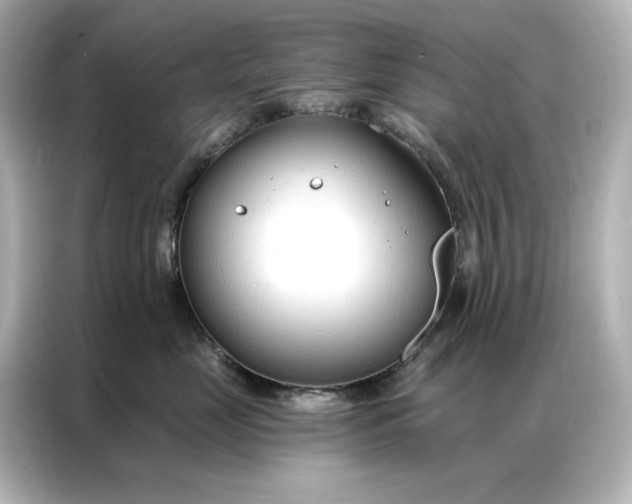 X0000086900669200704301018