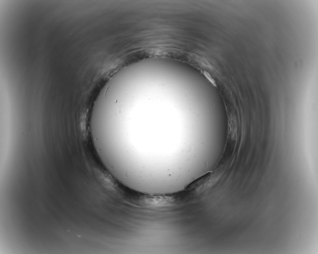 X0000086900670200704301018