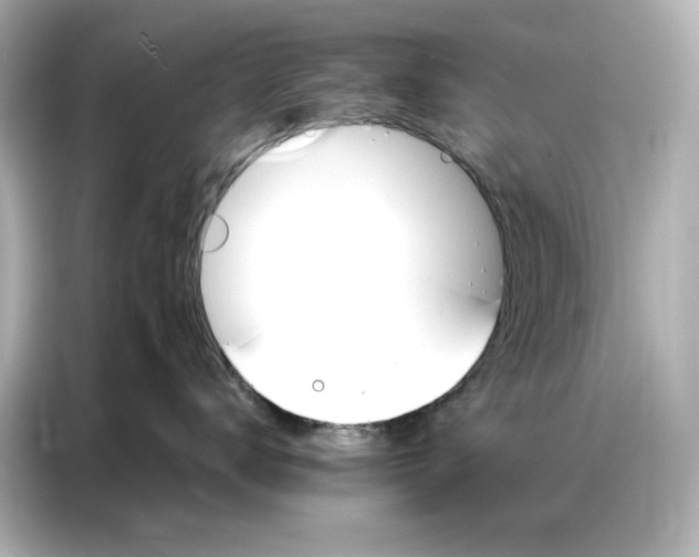 X0000086900672200704301018